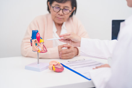 Doctor with Heart anatomy model. Elderly Patient consultation medical health for Cardiovascular Diseases, Atherosclerosis, Hypertensive, Heart attack, heart failure and world Heart day conceptの写真素材