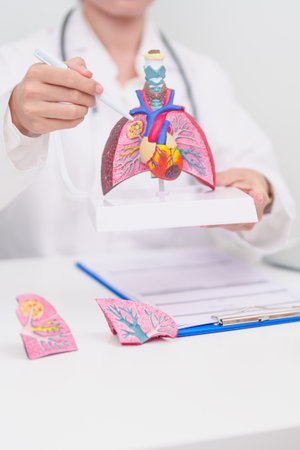 Doctor with Respiratory system. Elderly Patient consultation medical health for Lung Cancer, Asthma, Chronic Obstructive Pulmonary, Bronchitis, Emphysema, Cystic Fibrosis, Bronchiectasis, Pneumoniaの写真素材
