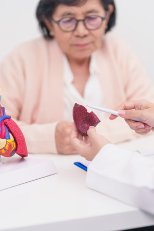 Doctor with Respiratory system. Elderly Patient consultation medical health for Lung Cancer, Asthma, Chronic Obstructive Pulmonary, Bronchitis, Emphysema, Cystic Fibrosis, Bronchiectasis, Pneumoniaの写真素材
