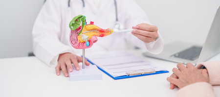 Elderly Patient consultation with doctor for Pancreas, Gallbladder, Bile Duct, Duodenum, Small intestine. Pancreatic cancer, Acute and Chronic pancreatitis, Digestive system and medical healthcareの写真素材