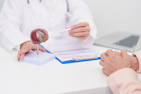 Doctor with human Liver anatomy. Elderly Patient consultation medical health for Liver cancer and Tumor, Jaundice, Viral Hepatitis, Cirrhosis, Failure, Enlarged, Hepatic Encephalopathy, Ascites Fluidの写真素材