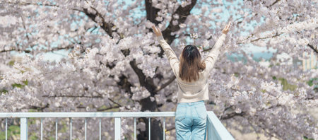 Woman tourist sightseeing Sakura Cherry blossom at Morioka Castle Ruins park in Spring, happy...
