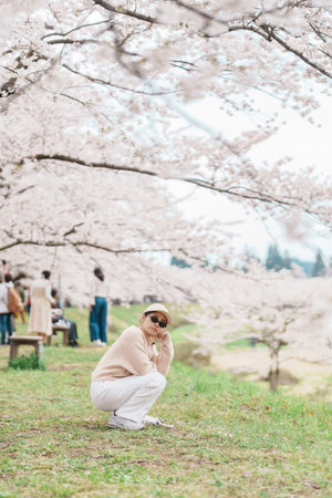 Woman tourist sightseeing Sakura Cherry Blossom in Spring. Happy traveler travel near Hinokinai River riverbank in Kakunodate town, Semboku District, Akita Prefecture, Japan. Landmark and Vacationの写真素材