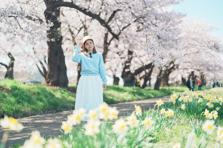 Woman tourist sightseeing Kitakami Tenshochi Park with Sakura Cherry Blossom in Spring, traveler travel in Kitakami festival, Iwate prefecture, Japan. Landmark for Travel and Vacation destinationの写真素材