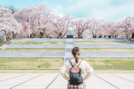 Woman tourist sightseeing Tendo Park or Maizuru Park with Sakura Cherry Blossom in Spring, happy traveler travel in Yamagata prefecture, Tohoku, Japan. famous Landmark for Travel and Vacationの写真素材