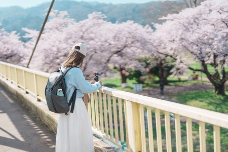 Woman tourist sightseeing Kitakami Tenshochi Park with Sakura Cherry Blossom in Spring, traveler travel in Kitakami festival, Iwate prefecture, Japan. Landmark for Travel and Vacation destinationの写真素材