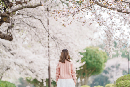 Woman tourist sightseeing Kajo Park Yamagata Castle Ruins with Sakura Cherry Blossom in Spring, happy traveler travel in Yamagata prefecture, Tohoku, Japan. famous Landmark for Travel and Vacationの写真素材