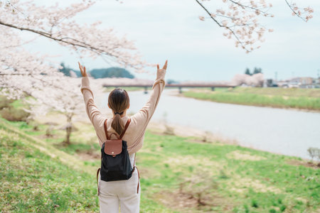 Woman tourist sightseeing Sakura Cherry Blossom in Spring. Happy traveler travel near Hinokinai River riverbank in Kakunodate town, Semboku District, Akita Prefecture, Japan. Landmark and Vacationの写真素材