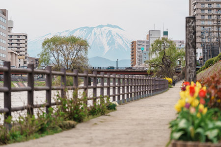 Beautiful Iwate mountain and Kitakami river with flowers blooming in Spring season, cityscape against blue sky in Morioka city, Iwate prefecture, Japan. famous Landmark Travel and Vacation destinationの写真素材