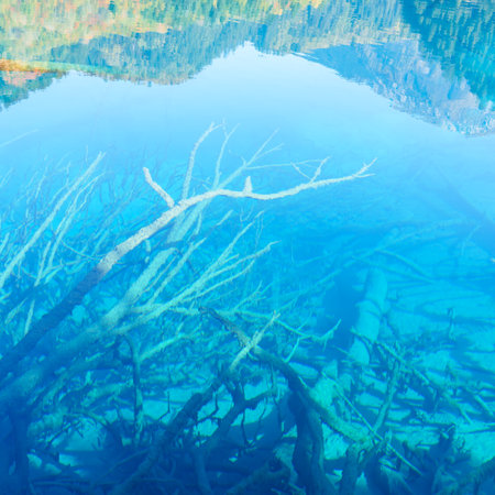 Scenery Jiuzhaigou national park in Sichuan, China. Beautiful clear water of Five Flower Lake in Autumn season. Famous Landmark and Vacation near Chengdu, China. Asia travel conceptの写真素材