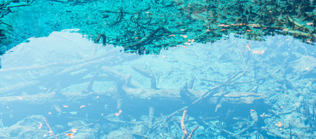 Scenery Jiuzhaigou national park in Sichuan, China. Beautiful clear water of Five Flower Lake in Autumn season. Famous Landmark and Vacation near Chengdu, China. Asia travel conceptの写真素材