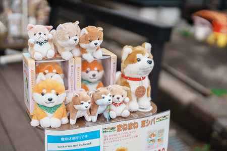 Akita dog doll in Kakunodate town, Semboku District, Akita Prefecture, Japan. Akita, Japan, 23 April 2025のeditorial素材