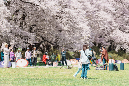 Kitakami Tenshochi Park with Sakura Cherry Blossom in Spring, tourists travel and sightseeing at Kitakami festival. Iwate prefecture, Japan, 22 April 2025のeditorial素材