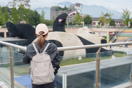 Happy woman traveler travel in Dujiangyan city. Tourist sightseeing Yangtianwo Square and Guanxian Ancient City near Chengdu. Landmark and popular for tourism attraction in Sichuan, Chinaの写真素材