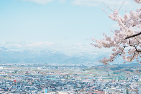 Tendo city with Sakura Cherry Blossom and snow mountain in Spring season, view from Tendo Park or Maizuru Park. Yamagata prefecture, Tohoku, Japan, 21 April 2025のeditorial素材