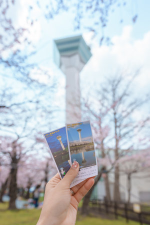 Tourist hand holding Goryokaku Tower ticket during sightseeing view and hanami with sakura cherry...