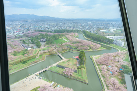 Beautiful Sakura Cherry Blossom in Spring season from Goryokaku Tower in Hakodate city, Hokkaido...