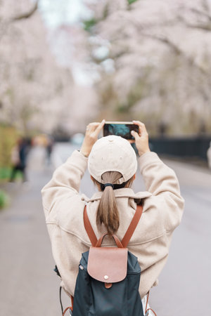 Woman tourist sightseeing and taking photo Sakura Cherry Blossom in Spring. traveler travel in Samurai village in Kakunodate town, Semboku District, Akita Prefecture, Japan. Landmark and vacationの写真素材
