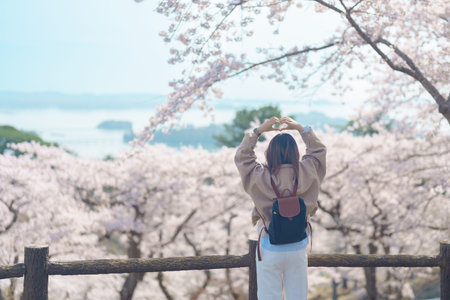 Woman tourist sightseeing Sakura Cherry Blossom in Spring. Happy traveler travel at Saigyo Modoshi no Matsu over Matsushima Bay in Matsushima, Miyagi Prefecture, Japan. Famous Landmark and Vacationの写真素材