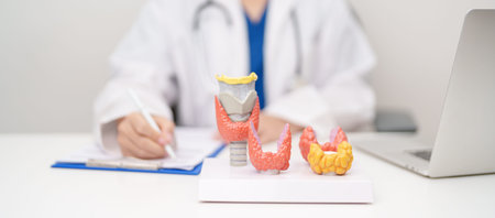 Doctor with human Thyroid anatomy model. Hyperthyroidism, Hypothyroidism, Hashimoto Thyroiditis, Thyroid Tumor and Cancer, Postpartum, Papillary Carcinoma and Health conceptの写真素材