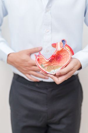 Man having abdomen pain or Stomachache with Gastric anatomy model. stomach diseases and ulcers,...