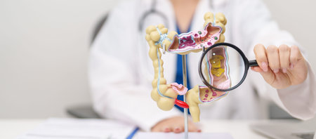 Doctor with human Colon anatomy model. Colonic disease, Large Intestine, Colorectal cancer,...