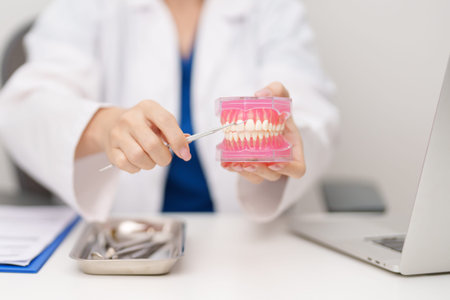 Dentist with tooth Anatomy model. Oral Teeth and disease, Scrape off tartar. Oral health, False...