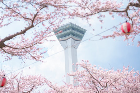 Beautiful Sakura Cherry Blossom in Spring season. Goryokaku Tower park in Hakodate city, Hokkaido prefecture, Japan. famous Landmark, Japan Travel and Vacation destinationの写真素材
