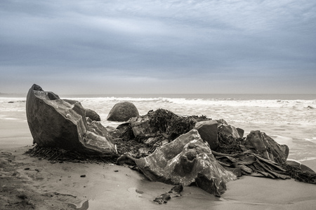 Moeraki Boulders in Otago, South Island, New Zealandの写真素材