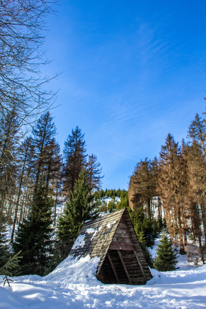 Eckerloch at Harz Mountains National Park, Germanyの写真素材
