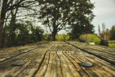 wooden table in nature environment as backgroundの写真素材