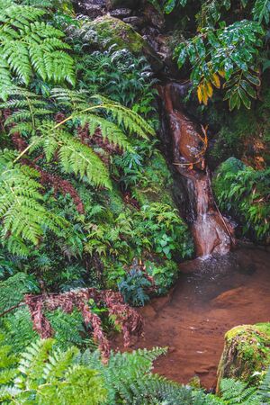 small waterfall and hot pool at Caldeira Velha, a nature reserve on Sao Miguel Island, Azores,...