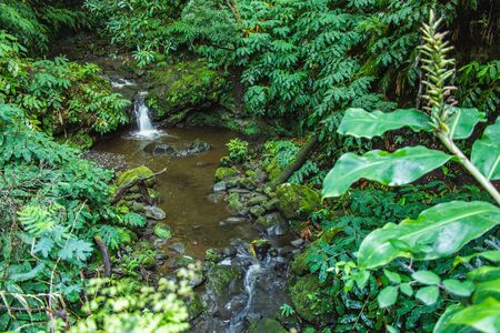 Waterfall at Parque Natural da Ribeira dos Caldeiroes, Sao Miguel, Azores, Portugal