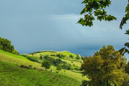 beautiful fields and landscape on the island of Sao Miguel, Azores, Portugalの写真素材