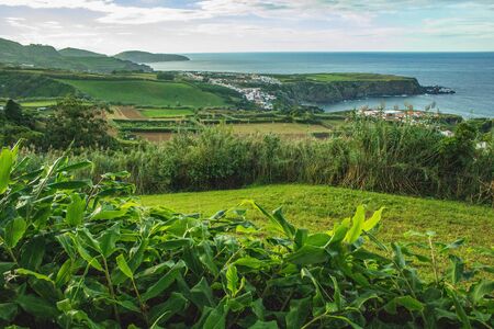 beautiful green wild landscape on the island of Sao Miguel, Azores, Portugal