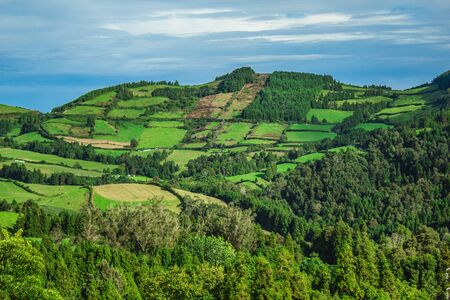 beautiful green wild landscape on the island of Sao Miguel, Azores, Portugal