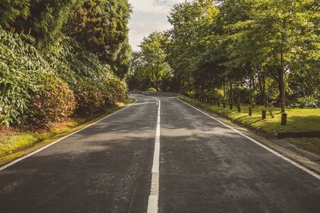 Empty road is leading through beautiful landscape on the island of Sao Miguel, Azores, Portugalの写真素材