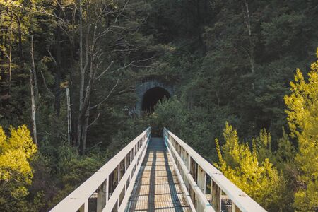 Kawatiri Historic Railway Walk in Glenhope, South Island, New Zealandの写真素材