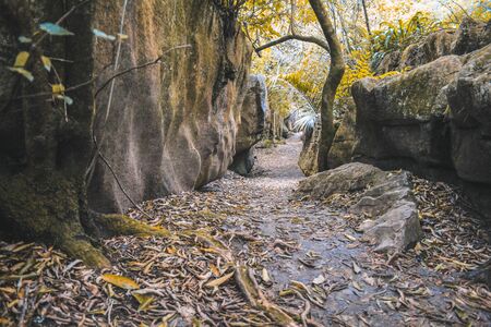 Labyrinth Rocks in Takaka, South Island, New Zealandの写真素材