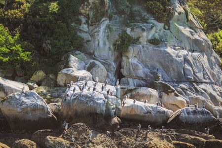 Abel Tasman National Park, South Island, New Zealandの写真素材