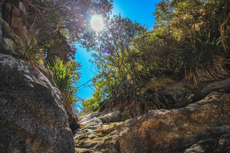 Rock formations at Anapai Beach in Abel Tasman National Park, South Island, New Zealandの写真素材