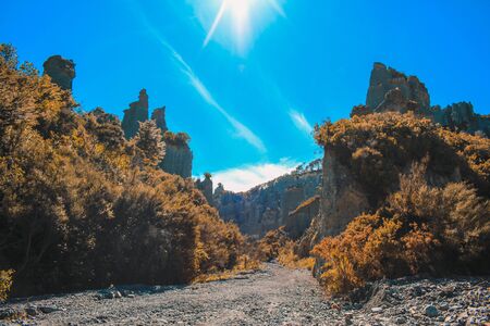 Putangirua Pinnacles in Wairarapa, North Island, New Zealandの写真素材