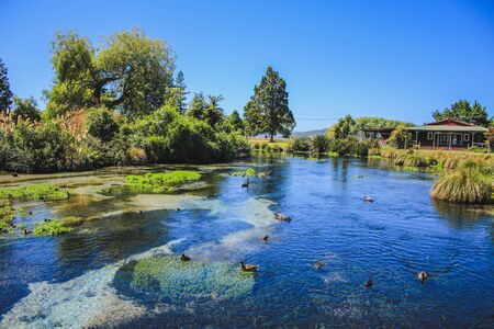 Beautiful lake in Rotorua, North Island, New Zealandの写真素材