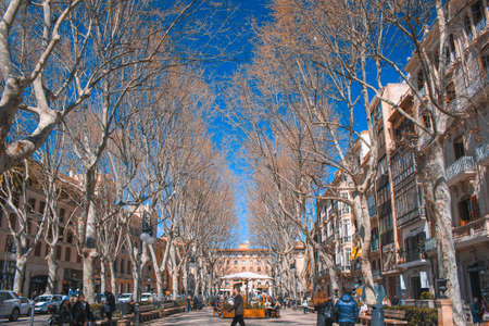 Palma, Mallorca / Spain - March 26 2018: Passeig del Born in the capital Palma de Mallorca. Tourists strolling in the shopping street during a sunny day.のeditorial素材