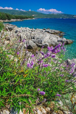 Picturesque coastline in Krk town on the island Krk, Croatiaの写真素材