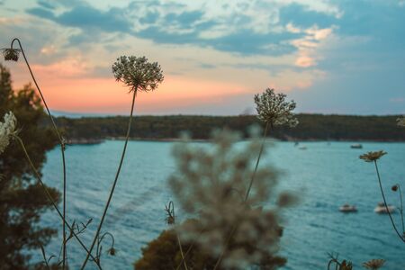 Views of coastline from Komrcar city park in Rab town on Rab island, Croatiaの写真素材