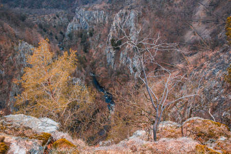 Wild Bodetal from Rosstrappe viewpoint at Harz Mountains National Park in Germany