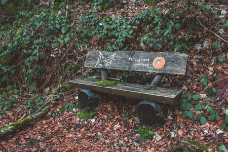 Wooden bench in Harz Mountains National Park, Germanyの写真素材