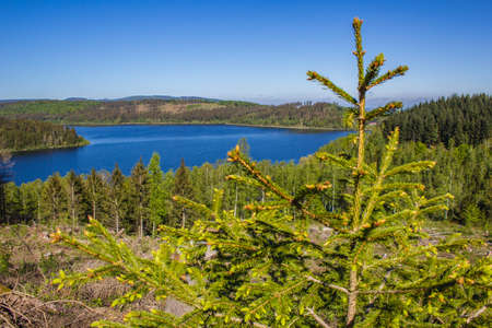 view of Granestausee reservoir and forest at Harz Mountains National Park, Germanyの写真素材