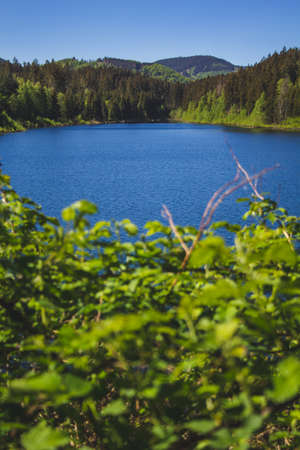 view of Granestausee reservoir and forest at Harz Mountains National Park, Germanyの写真素材